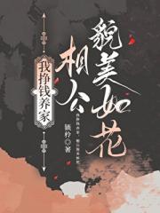 我挣钱养家，相公貌美如花