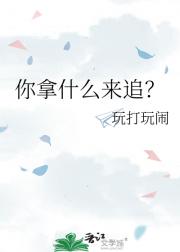 你拿什么来追？
