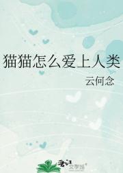 猫猫怎么爱上人类
