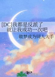 【DC】我都是反派了就让我成功一次吧