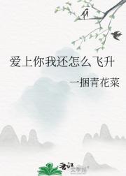 爱上你我还怎么飞升
