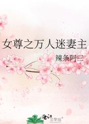 女尊之万人迷妻主