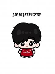[足球]红白之梦