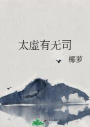 太虚有无司