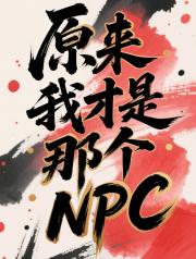 原来我才是那个NPC