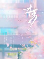 梦