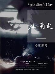 往南走