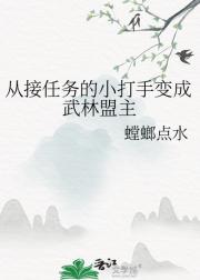 从接任务的小打手变成武林盟主