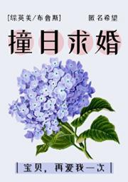 撞日求婚[综]