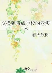 交换到贵族学校的老实人