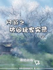 网游之坊间玩家实录（全息）