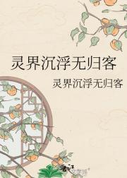 灵界沉浮无归客