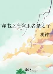 穿书之海盗王者是太子