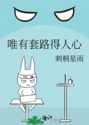 唯有套路得人心