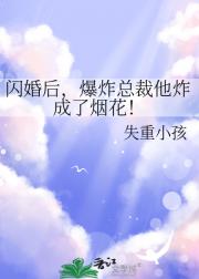 闪婚后，爆炸总裁他炸成了烟花！