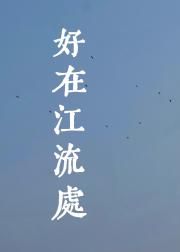 好在江流处
