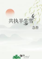 共执半生雪