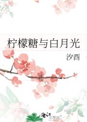 柠檬糖与白月光