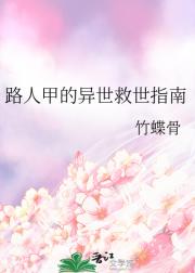 路人甲的异世救世指南