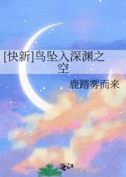 [快新]鸟坠入深渊之空