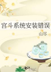 宫斗系统安装错误