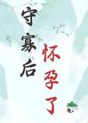 守寡后，怀孕了