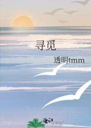 寻觅