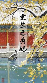 重生之为妃