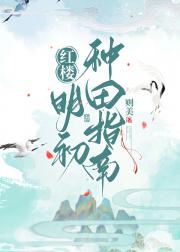 红楼之那个作精