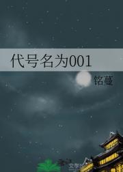 代号名为001