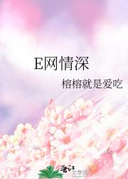 E网情深