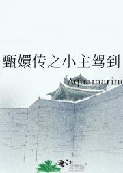 甄嬛传之小主驾到