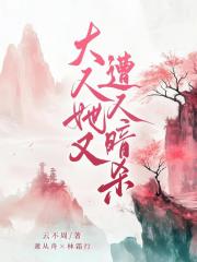 大人她又遭人暗杀