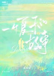 一个夏天的故事