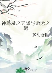 神鸟录之天降与命运之遇