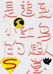 是追到小红鸟的超人崽［综英美］