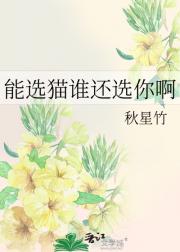 能选猫谁还选你啊