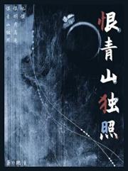 恨青山独照