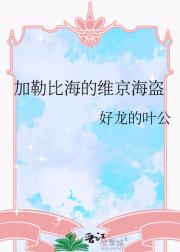 加勒比海的维京海盗