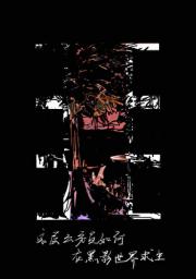 姚解的黑影世界