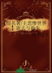 【综名著/主悲惨世界】逝去与新生