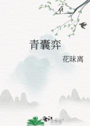 青囊弈