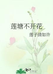 莲塘不开花