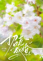 招惹成婚