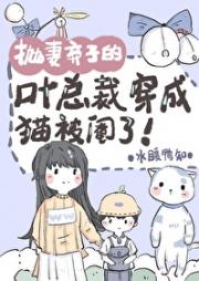 叶总裁穿猫被阉了