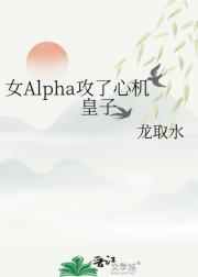 女Alpha攻了心机皇子(女尊)
