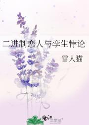 二进制恋人与孪生悖论