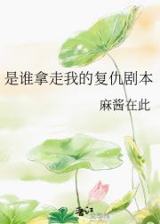是谁拿走我的复仇剧本