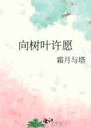 向树叶许愿