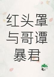 [综英美]红头罩与哥谭暴君